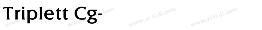 Triplett Cg字体转换